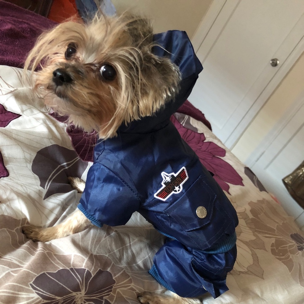 Meet your Posher, Janet